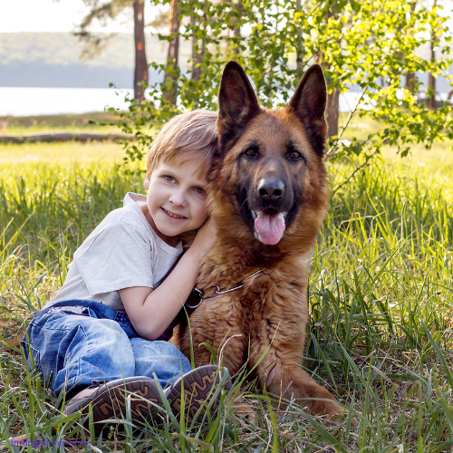 Are German Shepherds Good with Kids?